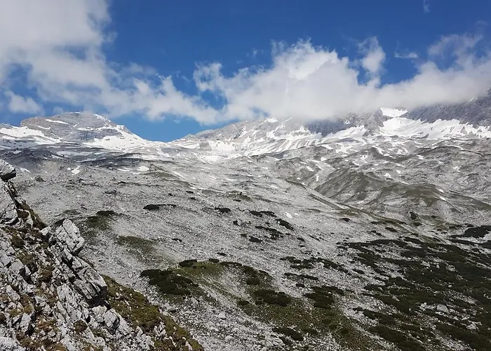 Ξενοδοχείο Alpspitz 3*